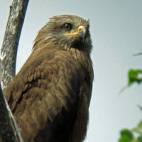 Neues aus dem Gemeinderat: die 5. Sitzung des Jahres