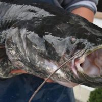 Neues aus der Gastronomie