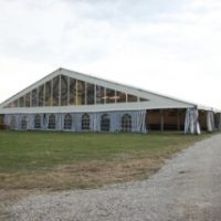 Währenddessen bei den Ochsen