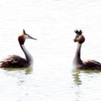 Ein Tag am See Ein Tag am See