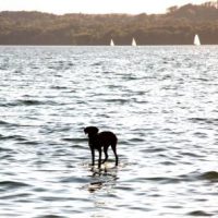 Stau in Berg - auch ohne Sommer Stau in Berg - auch ohne Sommer