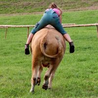 Ja ist denn schon wieder Wahl?