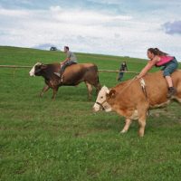 Heute brutaler Machtkampf bei der QUH?