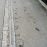 Das Ungeheuer von Leoni