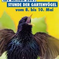 Die Nachtigall und nicht die Lerche? Die Nachtigall und nicht die Lerche?