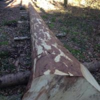 Die Farchner wachen!