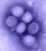 Breaking News: Gymnasium Starnberg vorübergehend geschlossen Breaking News: Gymnasium Starnberg vorübergehend geschlossen