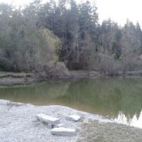 Rochade - Bericht aus dem Gemeinderat Rochade - Bericht aus dem Gemeinderat