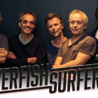 Nicht vergessen: Heute Abend die Silverfish Surfers