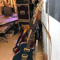 Silberfischchen Silberfischchen