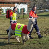 Und noch ein Aprilscherz