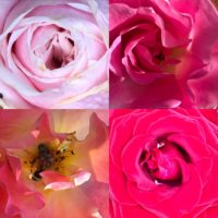 Neues aus dem Gemeinderat: die 9. Sitzung des Jahres 2018