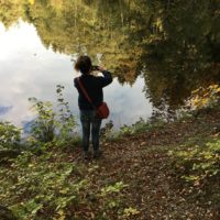 Das Kunstwerk des Monats November