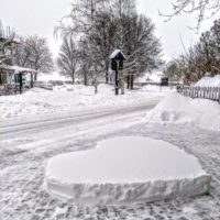 Elefanten, Kakteen und Herzen Elefanten, Kakteen und Herzen