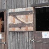 Der QUH-Adventskalender 2010 - das 17. Türchen