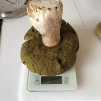 Lachen und weinen Lachen und weinen