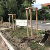 Endlich fertig: die Querungshilfe