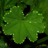 Veranstaltungen am Wochenende - die erste