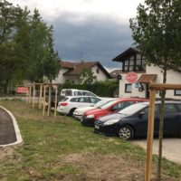 Kommt Zeit, kommt Baum