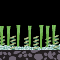 Kunstrasen in Berg Nord