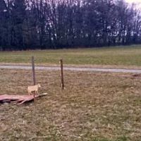 So oder so? - Wie wird das wochenende?