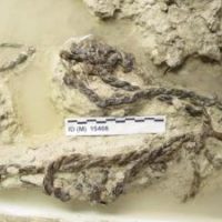 Zum Vatertag: Ein Besuch bei den Urvätern