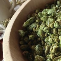 Mandarina Bavaria in Sibichhausen