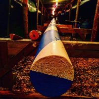 Noch eine Woche Party! Noch eine Woche Party!