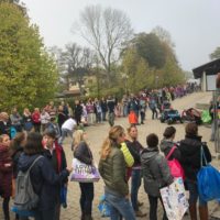 Biertische für den Schulbazar gesucht!