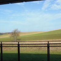 Biberkor - die neue Schule