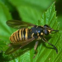 BergSpektiven und BN Vortrag BergSpektiven und BN Vortrag
