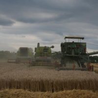 Als noch Sommer war ...