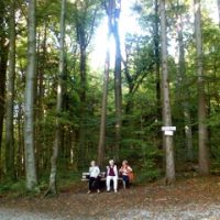 Bankenwesen in Berg (Ortsmitten Folge 2) Bankenwesen in Berg (Ortsmitten Folge 2)