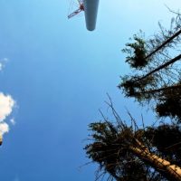 Währenddessen in den Wadlhauser Gräben