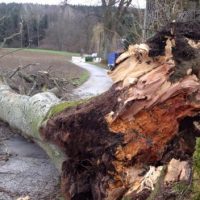 Ein Tag mit Niklas / Berg im Sturm Ein Tag mit Niklas / Berg im Sturm