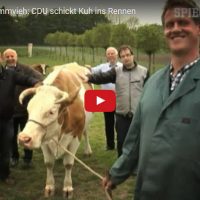 Danke Kuh ... ääh CDU