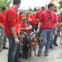 Ben Hur & die Musi & der Herausforderer