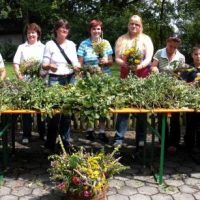 Kräuterbuschen zu Mariä Himmelfahrt