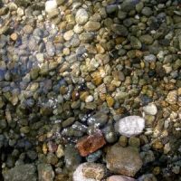 Schifffahrt - mit drei F!