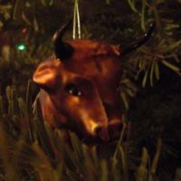 Christbaumabholaktion