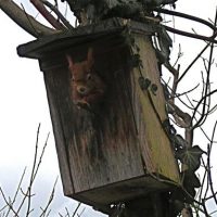 Der QUH-Adventskalender 2010 - das 3. Türchen