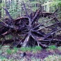 Und sie bewegt sich doch - Aufruhr in der Berger CSU