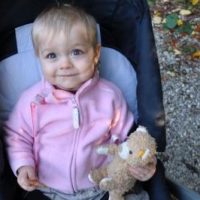 Wichtigster Teddybär der Welt verloren!