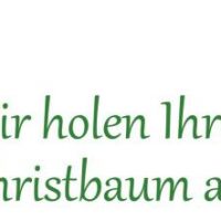 Raus mit dem Baum Raus mit dem Baum