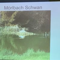 Die Bürgerversammlung im Live-Blog: Maßnahmen und Wissenswertes