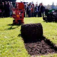 Den Rasen pflegen bei Kalinke