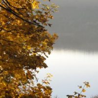 Vom Sommerloch direkt in die Herbstdepression