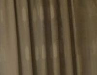 Großer Vortrag - kleine Sensation