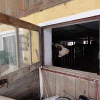 Der QUH-Adventskalender 2010 - das 13. Türchen