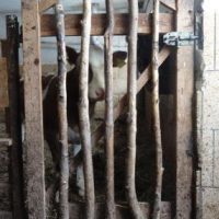 Der QUH-Adventskalender 2010 - das 24. Türchen